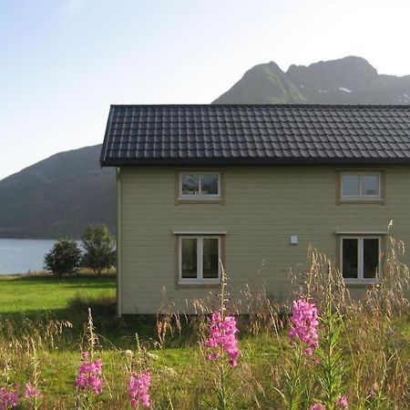 Charming House By The Sea, Lofoten! Laupstad Eksteriør bilde
