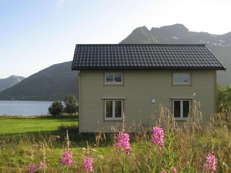 Charming House By The Sea, Lofoten! Laupstad Eksteriør bilde