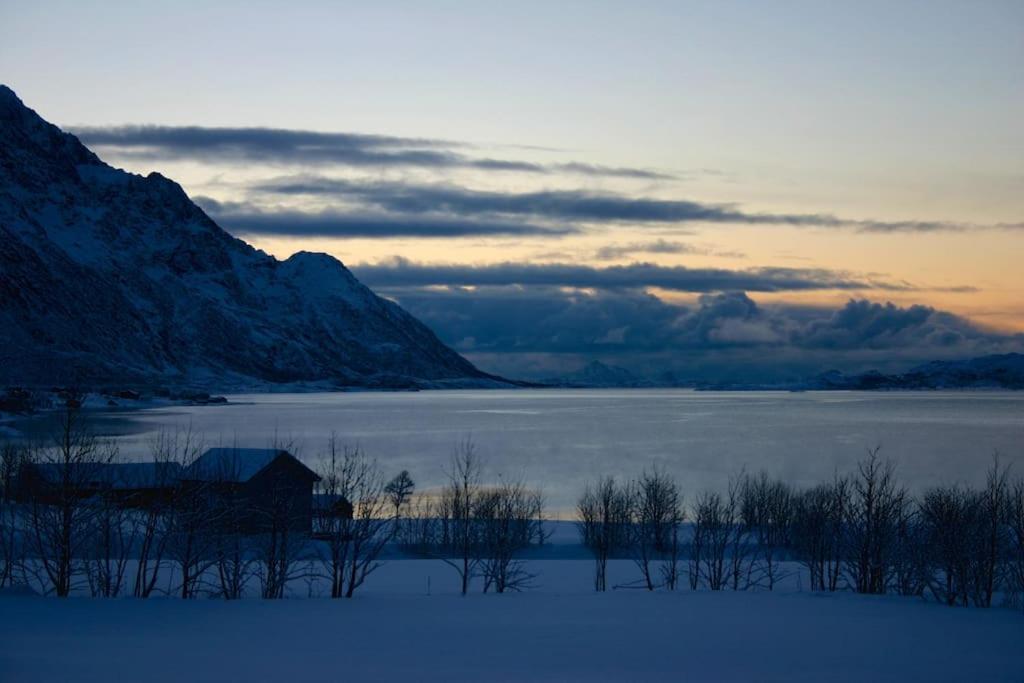 Charming House By The Sea, Lofoten! Laupstad Eksteriør bilde