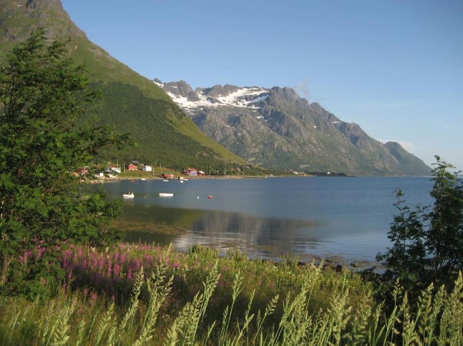 Charming House By The Sea, Lofoten! Laupstad Eksteriør bilde